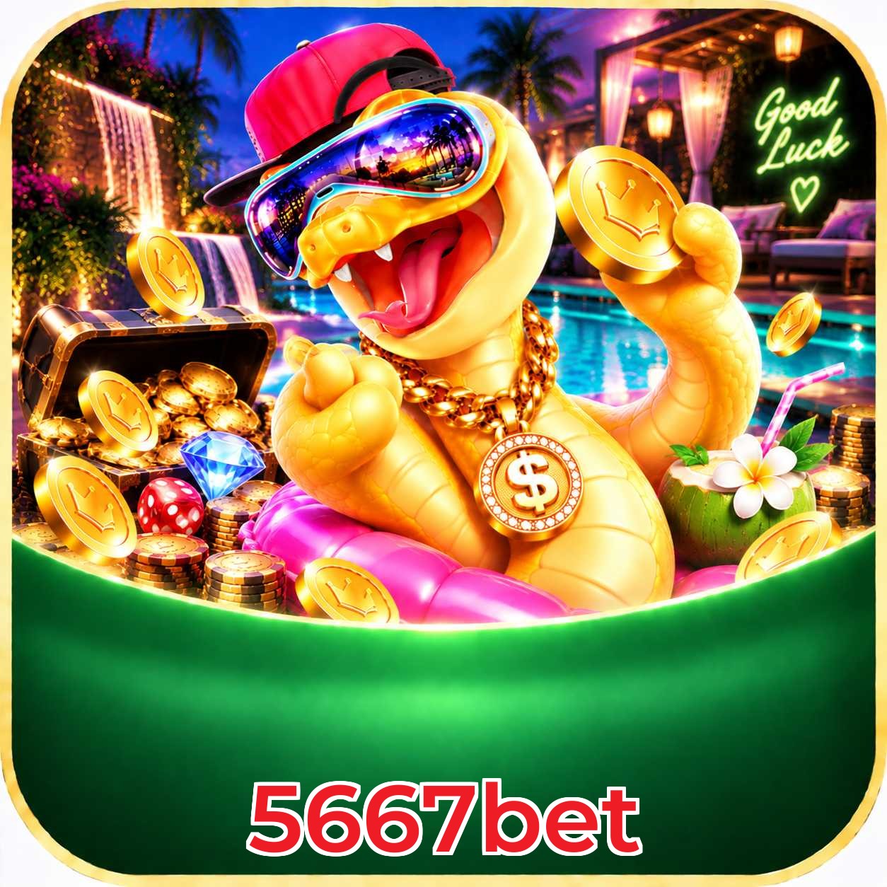 5667bet Streaming Quality
