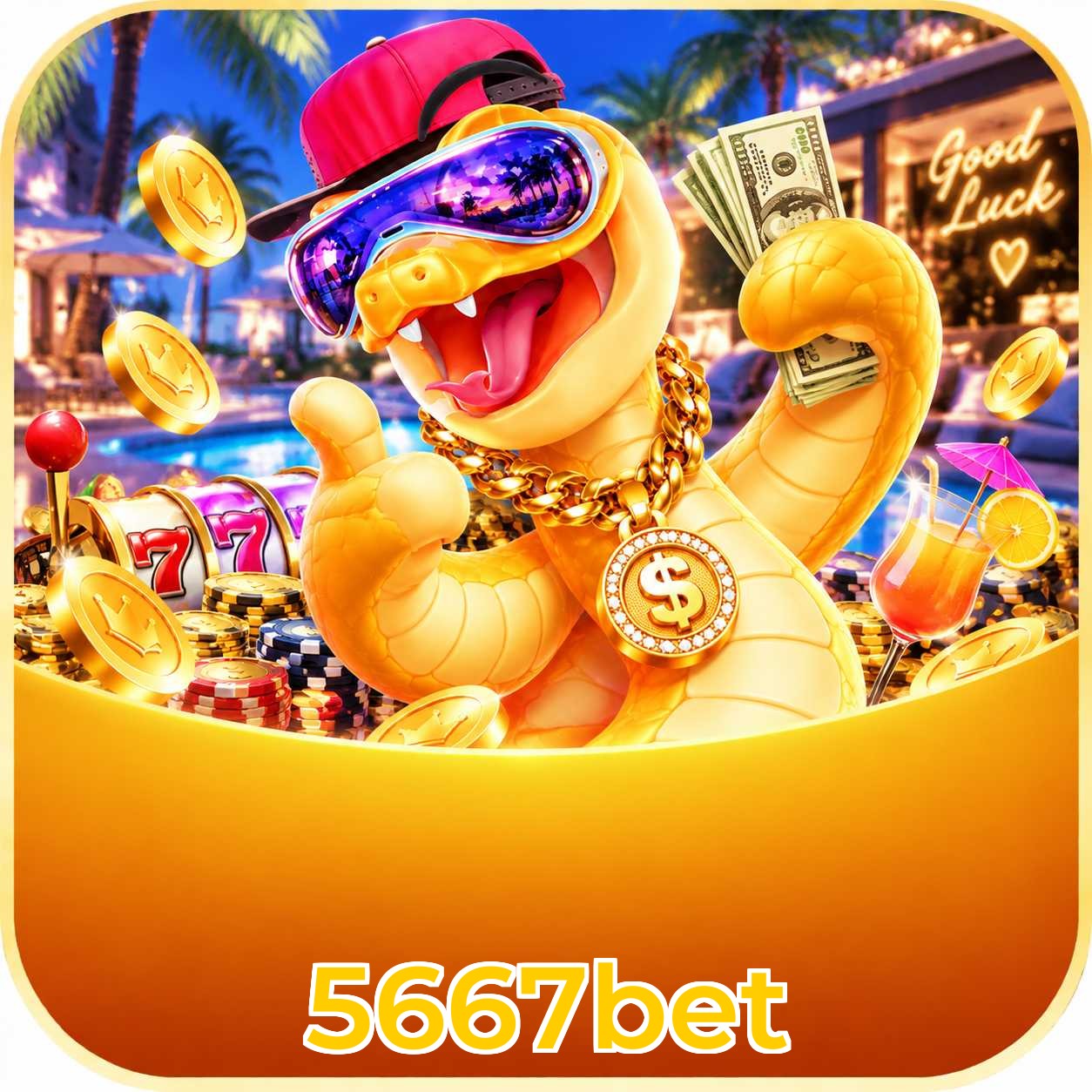 5667bet Compatibilidade